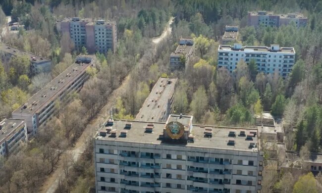 Природа удивляет: в Чернобыльской зоне нашли редкие растения - "розетки"