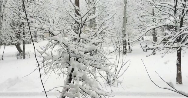 Снежит и рябит. Синоптики назвали дату следующего снегопада в Украине