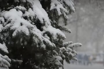 Заметет снегом на несколько метров. Синоптики прогнозируют непогоду в Украине