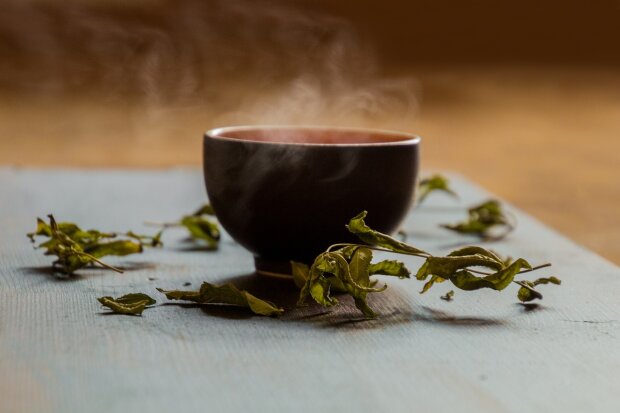 Зеленый чай. Фото: TeeFarm